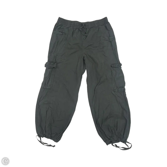 Pants Cargo & Utility By Aerie In Grey, Size: L