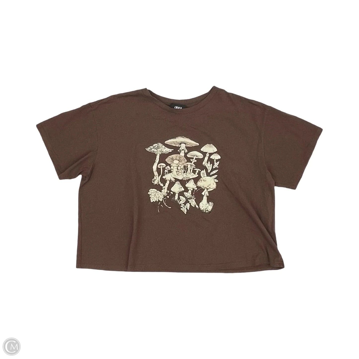Top Short Sleeve By Cider In Brown, Size: 3x