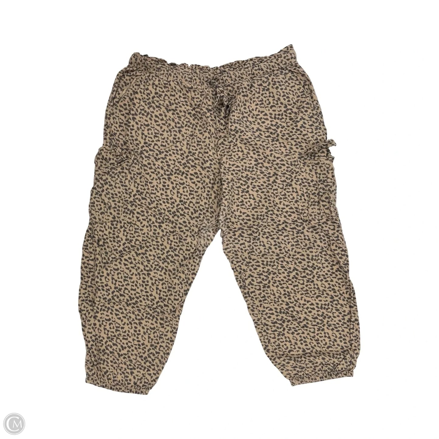 Pants Joggers By Aerie In Leopard Print, Size: Xxl