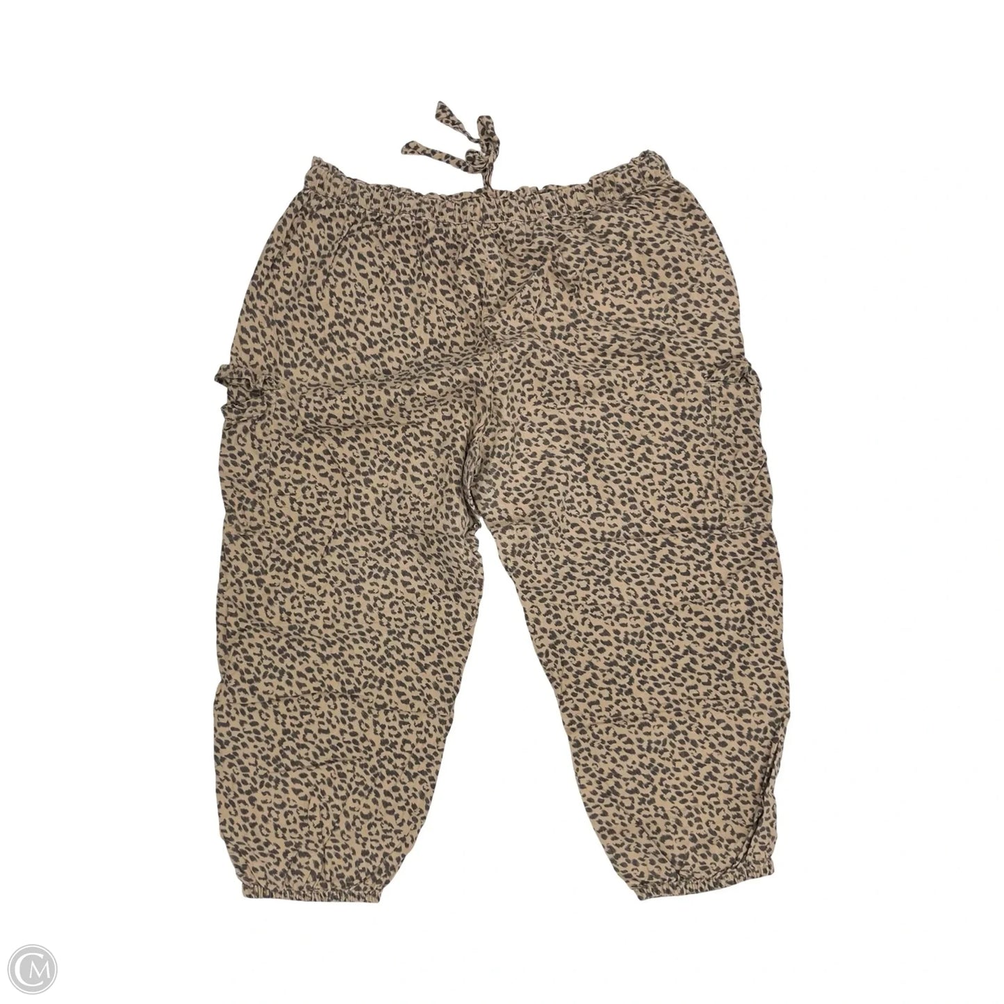 Pants Joggers By Aerie In Leopard Print, Size: Xxl