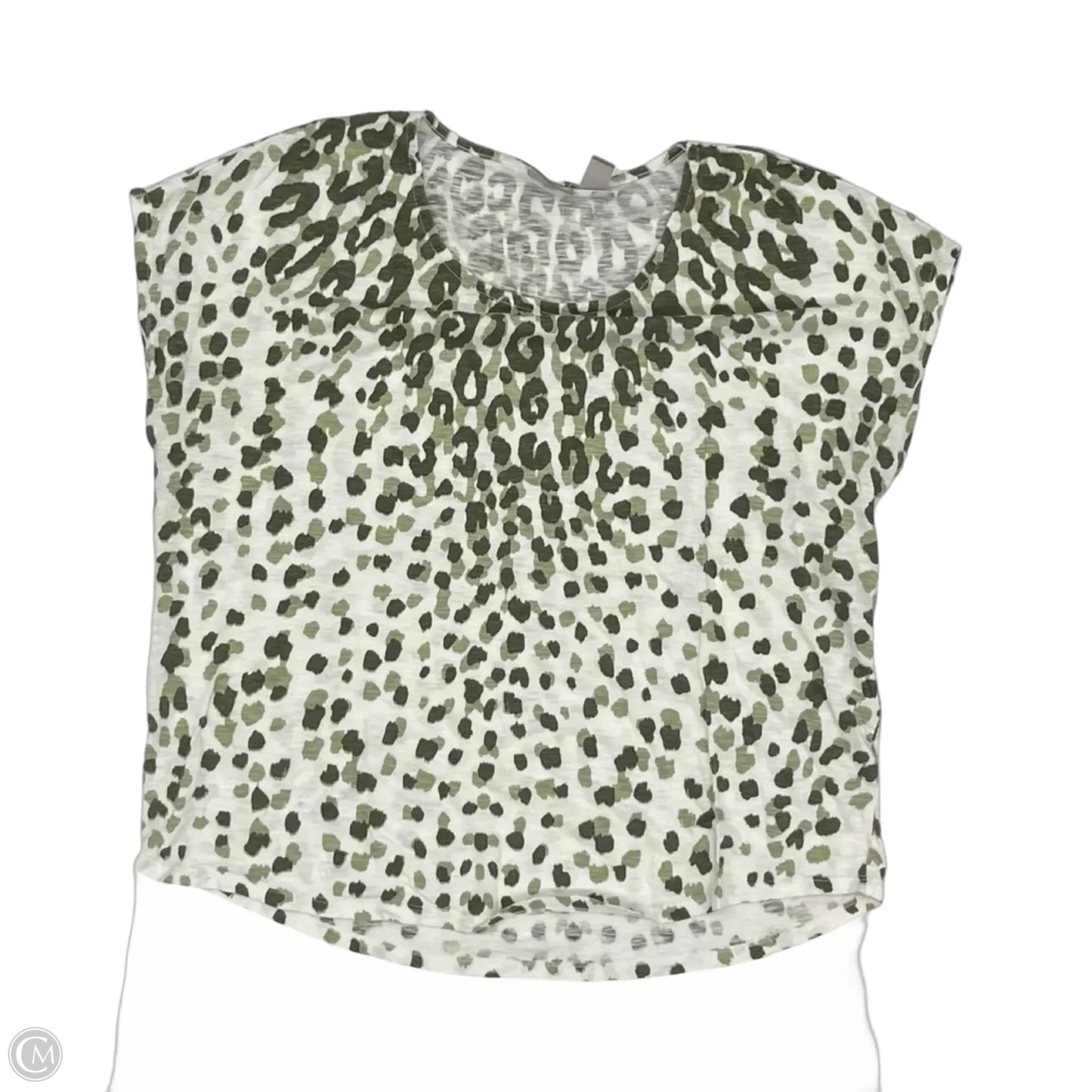 Top Short Sleeve By Chicos In Green & White, Size: L