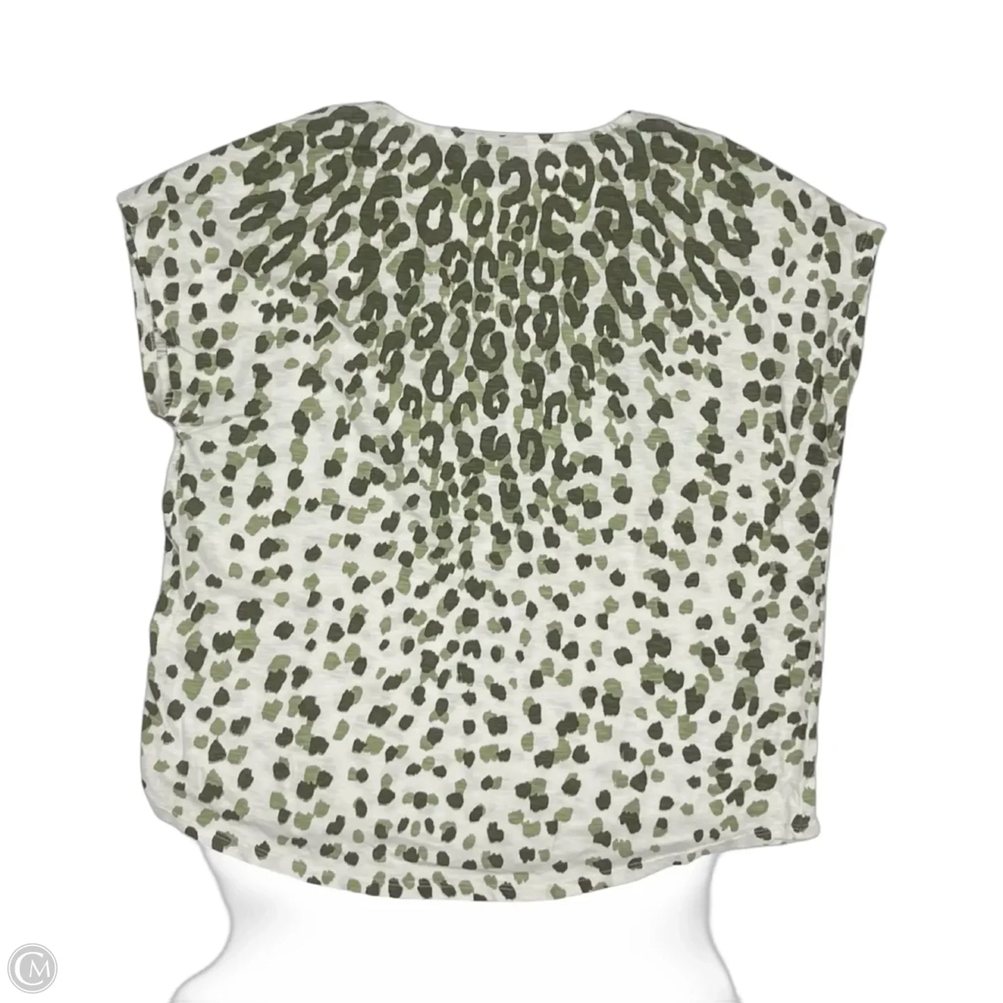 Top Short Sleeve By Chicos In Green & White, Size: L
