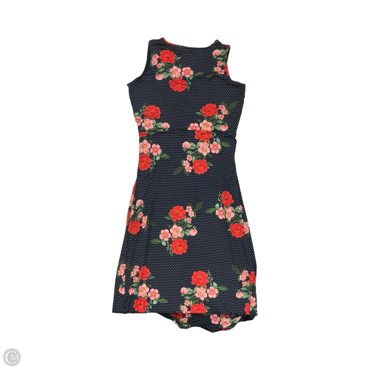 Dress Party Long By Nina Leonard In Floral Print, Size: 1x
