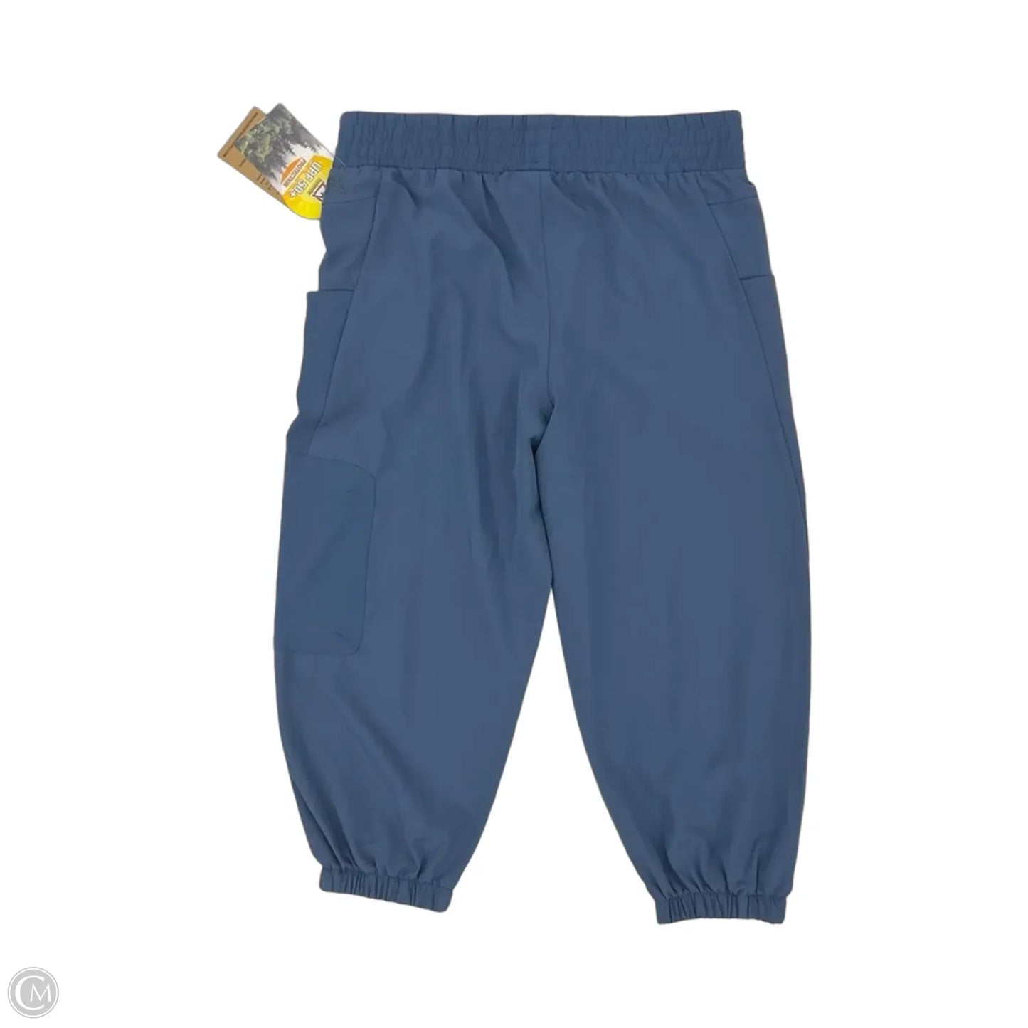 Athletic Pants By Avalanche In Blue, Size: M