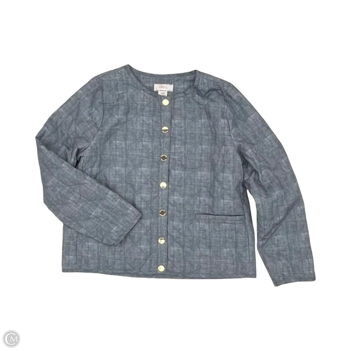 Jacket Puffer & Quilted By Stella Parker In Blue, Size: Mp
