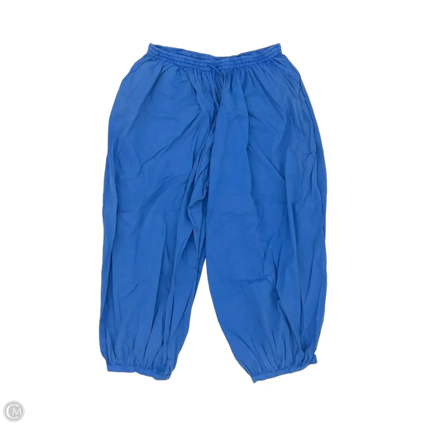 Pants Joggers By Bdg In Blue, Size: L