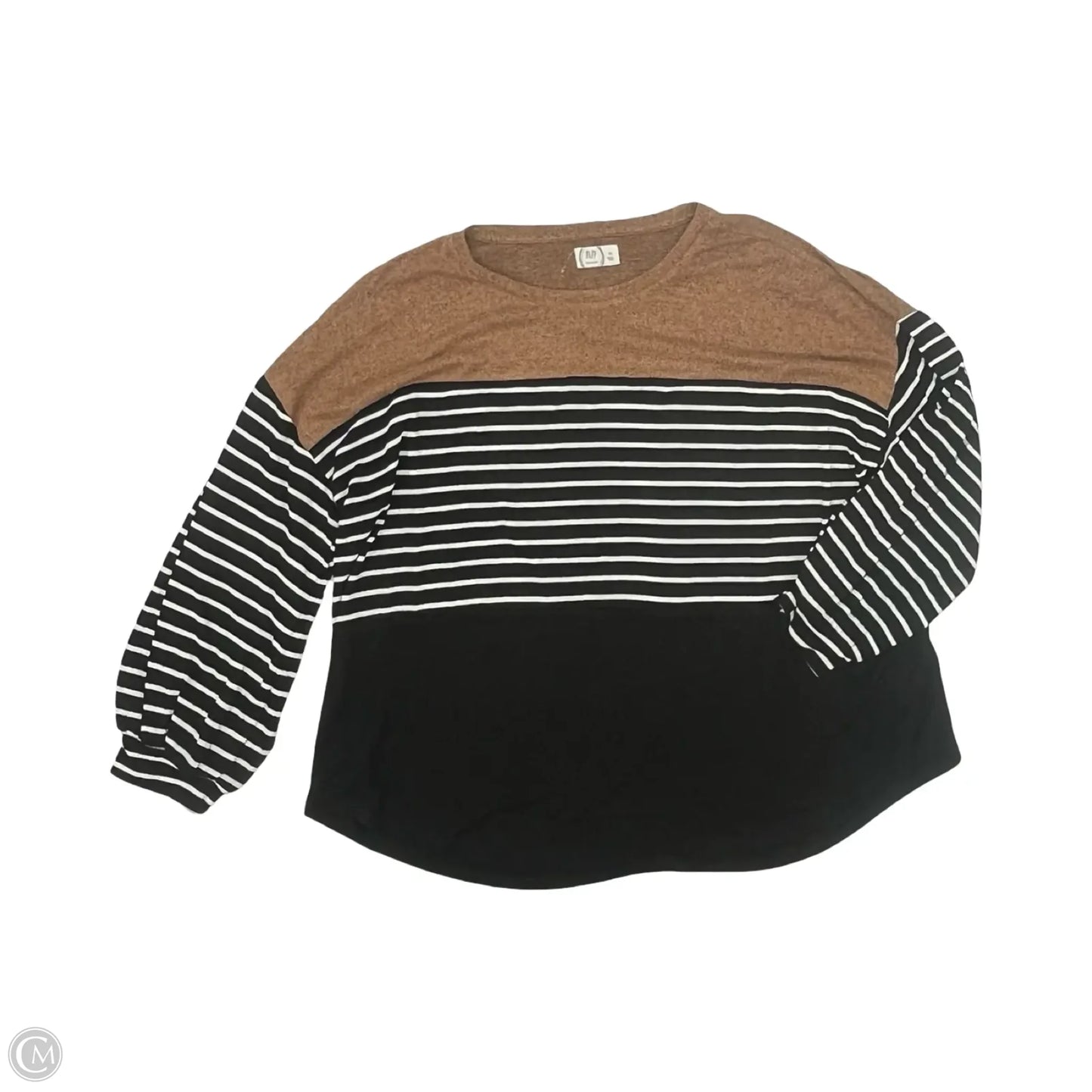 Top 2pc 3/4 Sleeve By Maurices In Black & Brown, Size: 2x