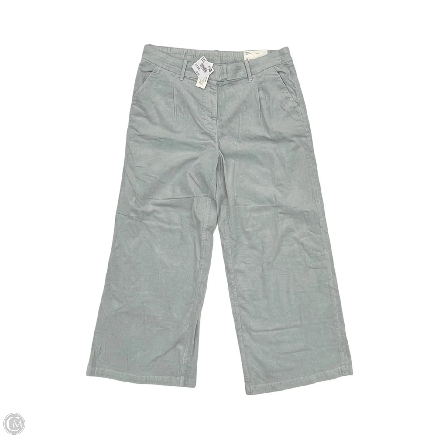 Pants Corduroy By American Eagle In Blue, Size: 16