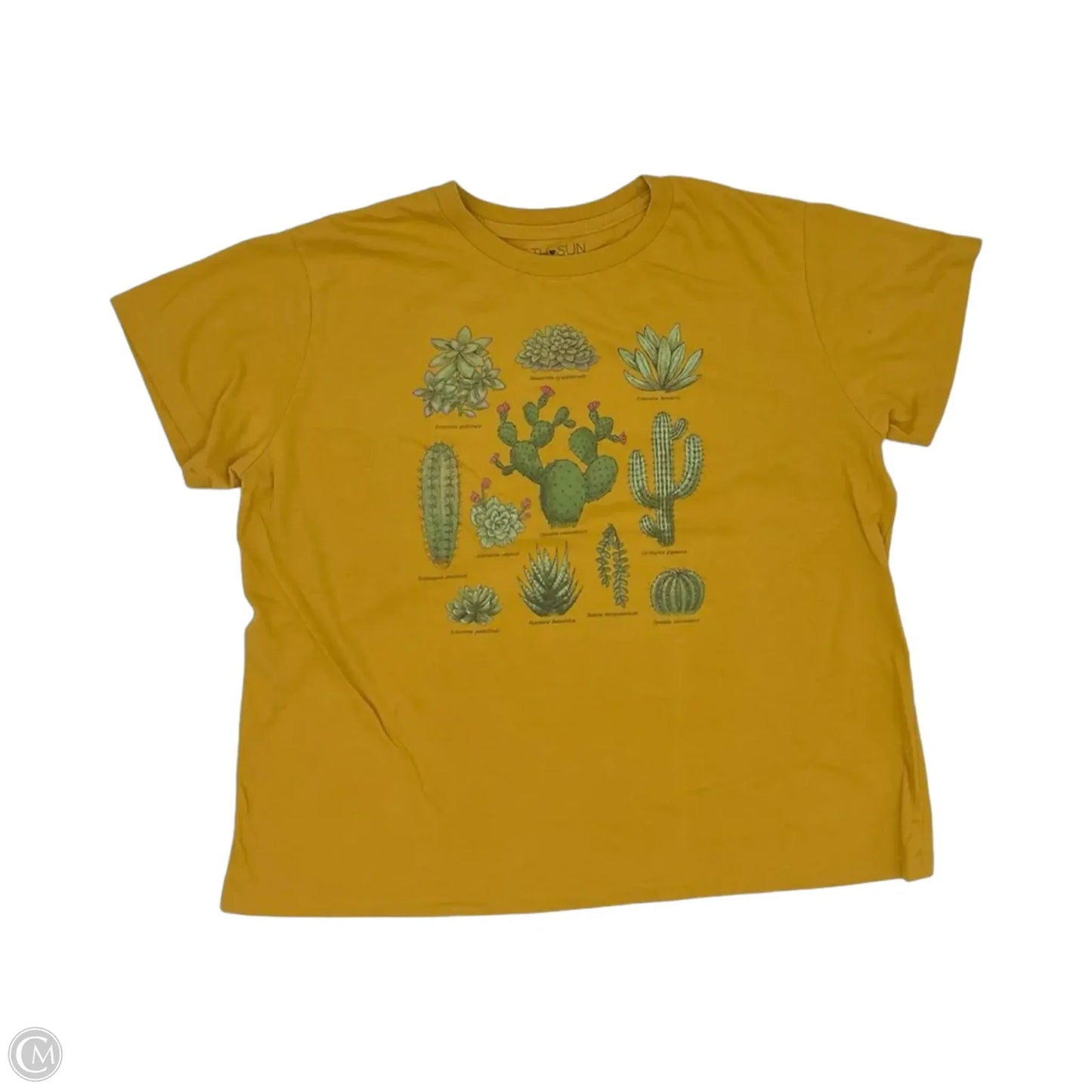Top Short Sleeve By Fifth Sun In Yellow, Size: Xl