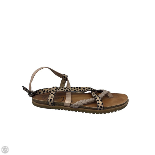 Sandals Flats By Blowfish In Brown, Size: 8.5