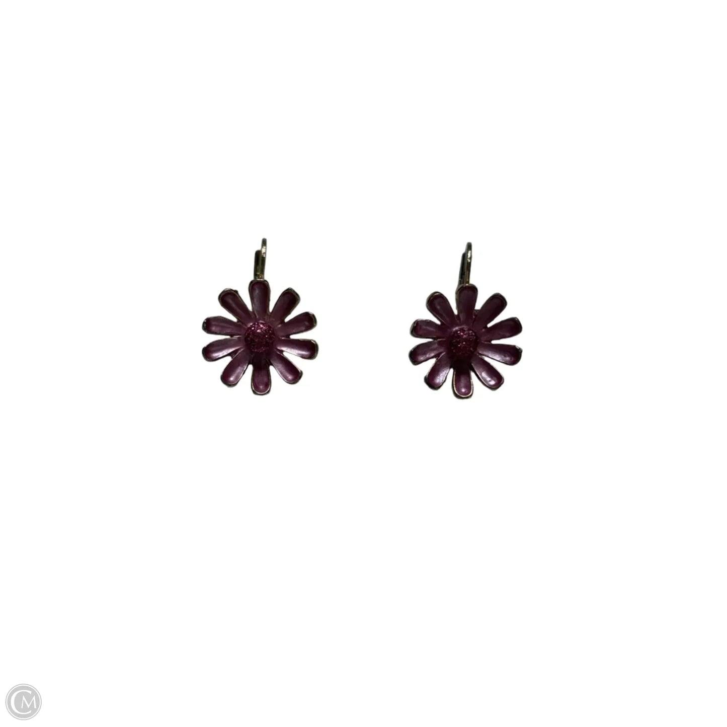 Earrings Dangle/drop By Clothes Mentor