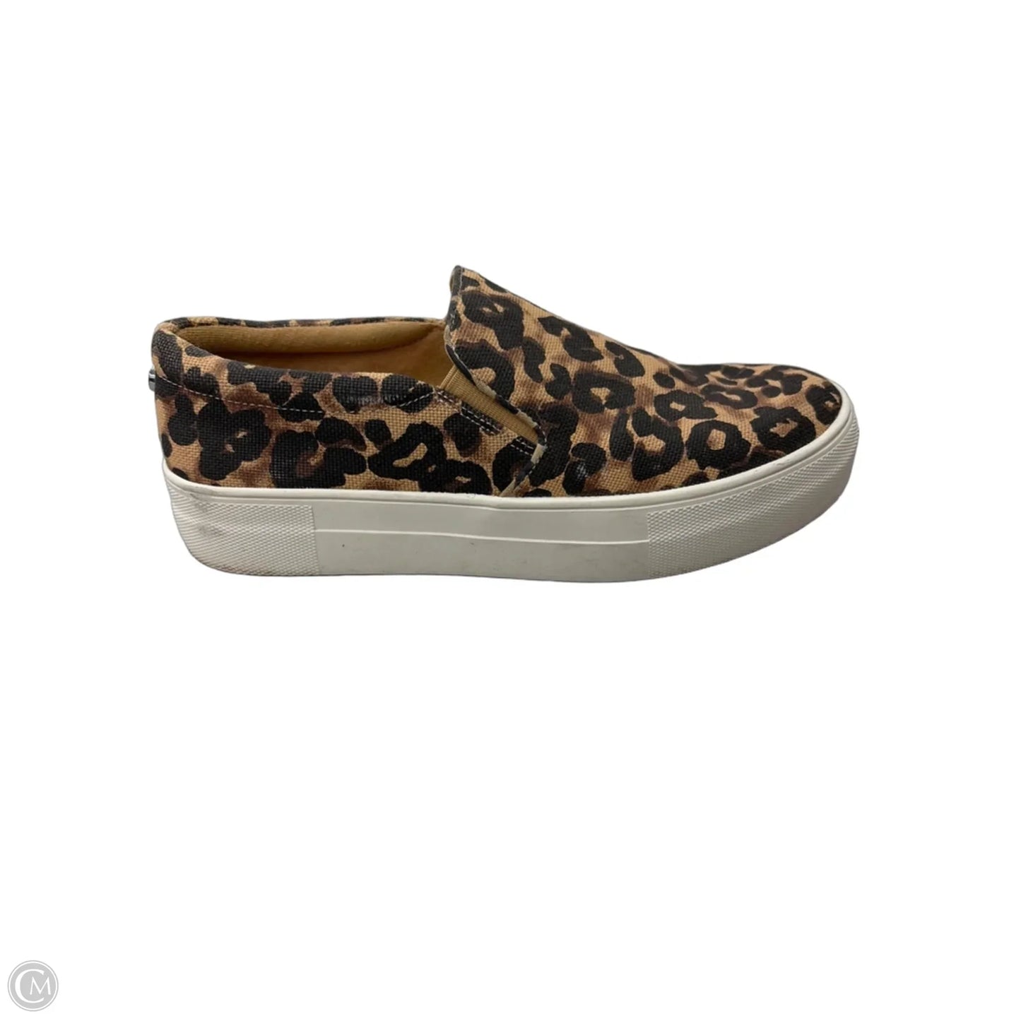 Shoes Flats By Steve Madden In Leopard Print, Size: 7.5