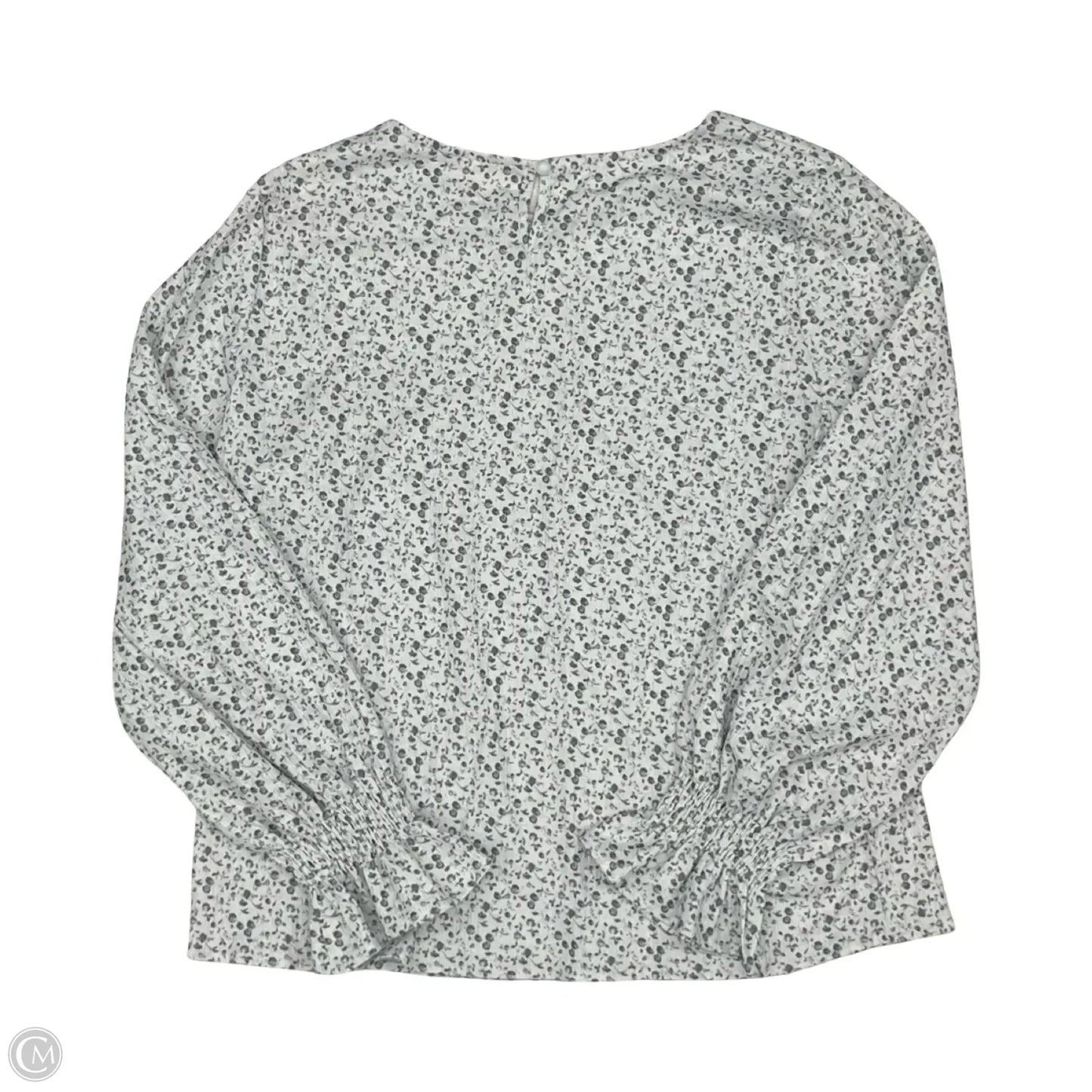 Blouse Long Sleeve By Cmf In Blue & White, Size: L