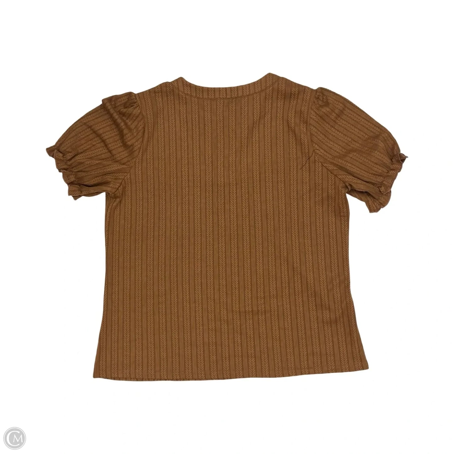 Blouse Short Sleeve By Dokotoo In Brown, Size: 2x