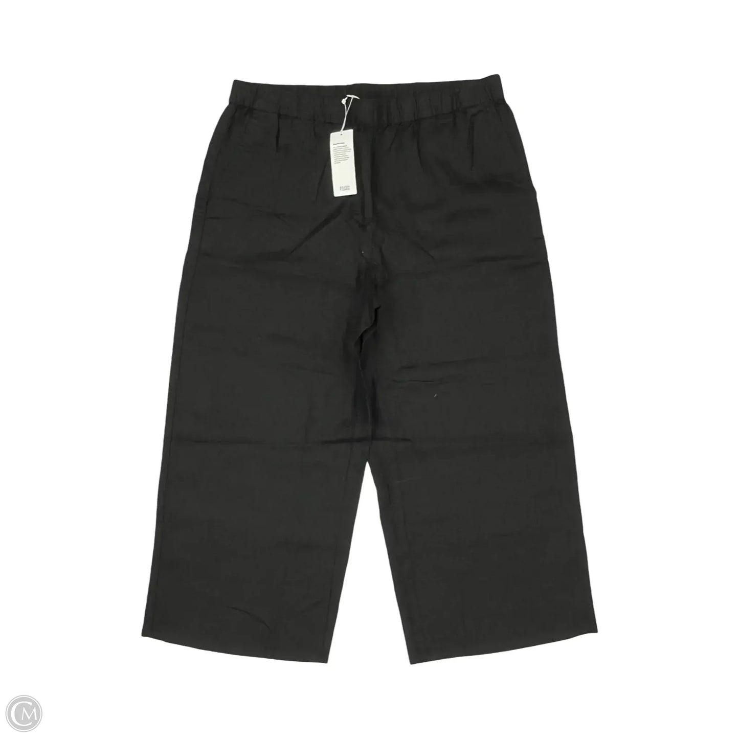 Pants Linen By Eileen Fisher In Black, Size: L