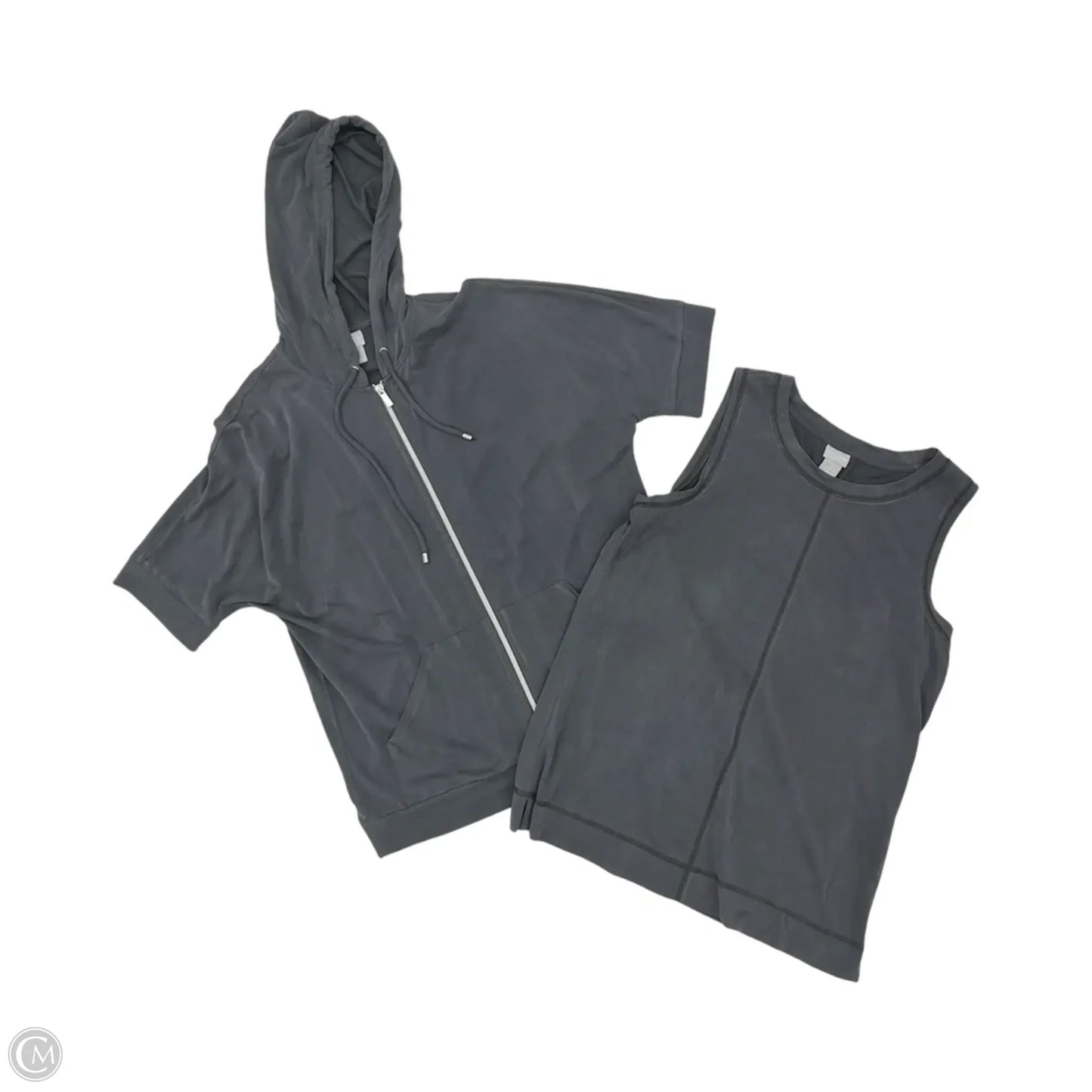 Top 2pc Long Sleeve By Chicos In Grey, Size: S