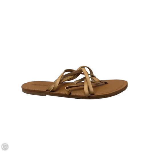 Sandals Flats By American Eagle In Tan, Size: 9
