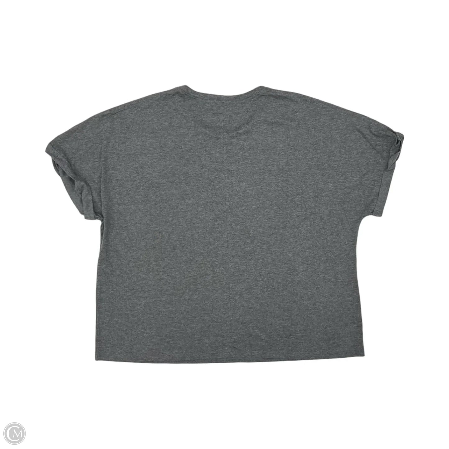 Top Short Sleeve By Clothes Mentor In Grey, Size: 3x