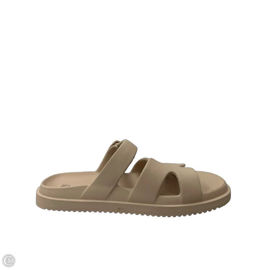 Sandals Flats By Wild Fable In Tan, Size: 8