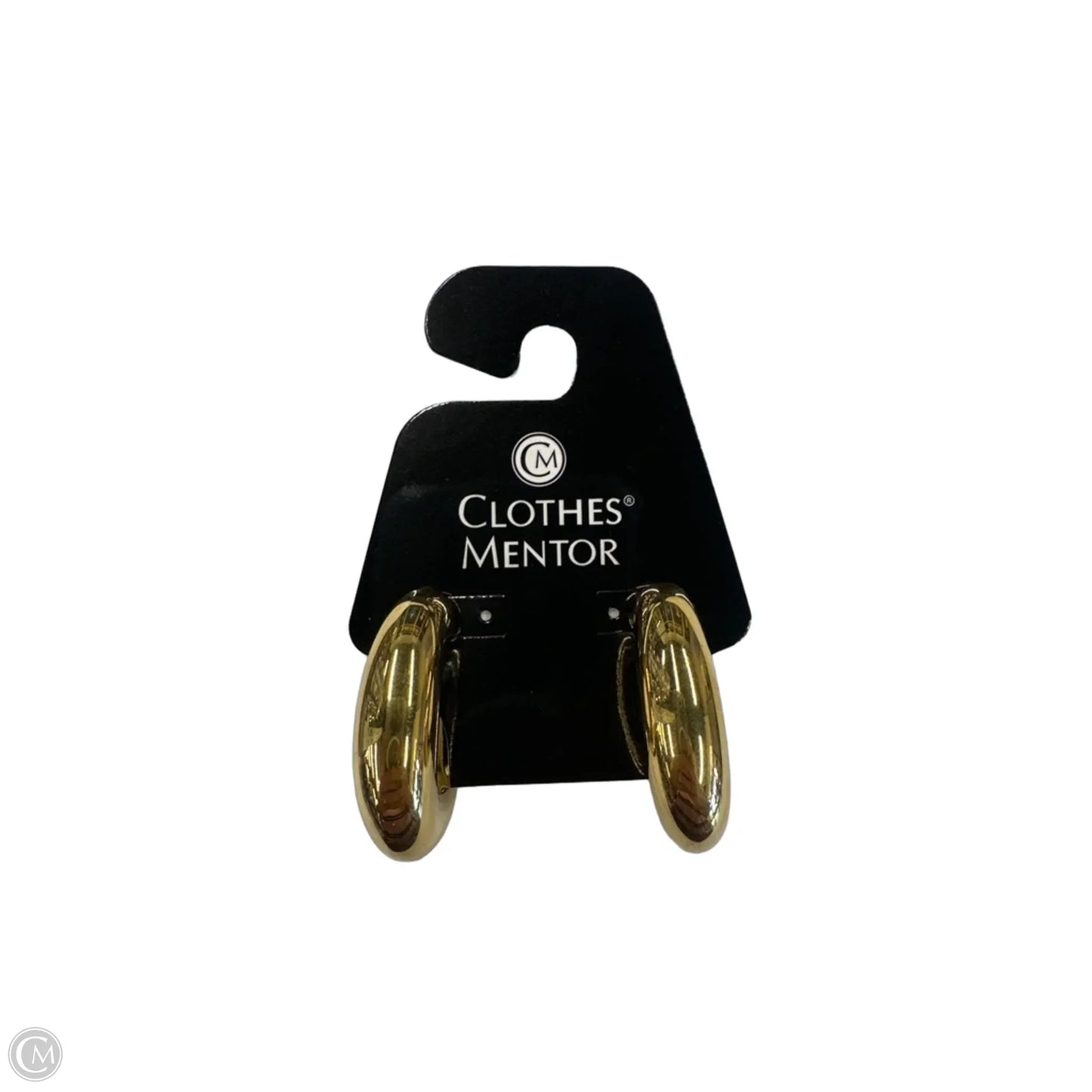 Earrings Hoop By Clothes Mentor