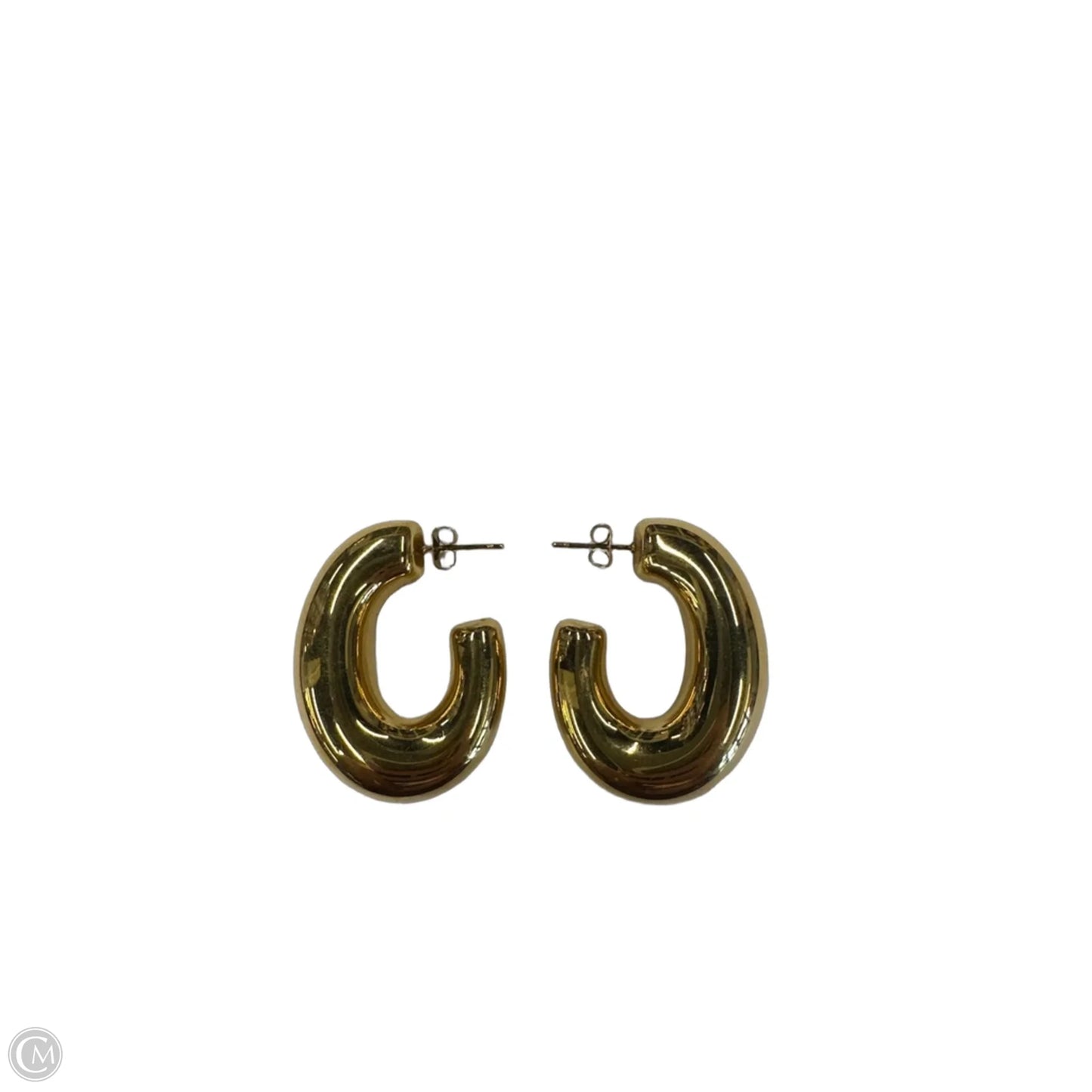 Earrings Hoop By Clothes Mentor