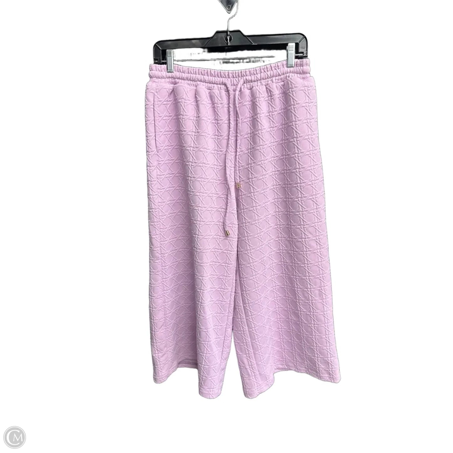 Pants Set 2pc By Clothes Mentor In Purple, Size: M
