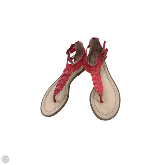 Sandals Flats By Lucky Brand In Brown & Red, Size: 7