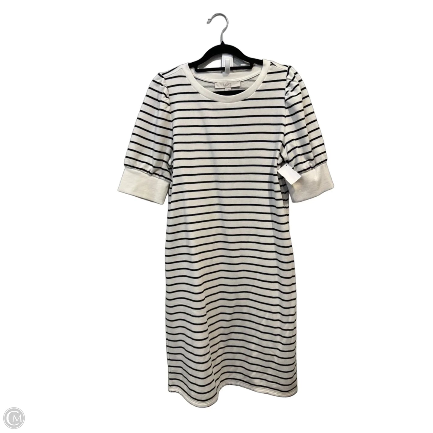 Dress Casual Short By Loft In Striped Pattern, Size: S