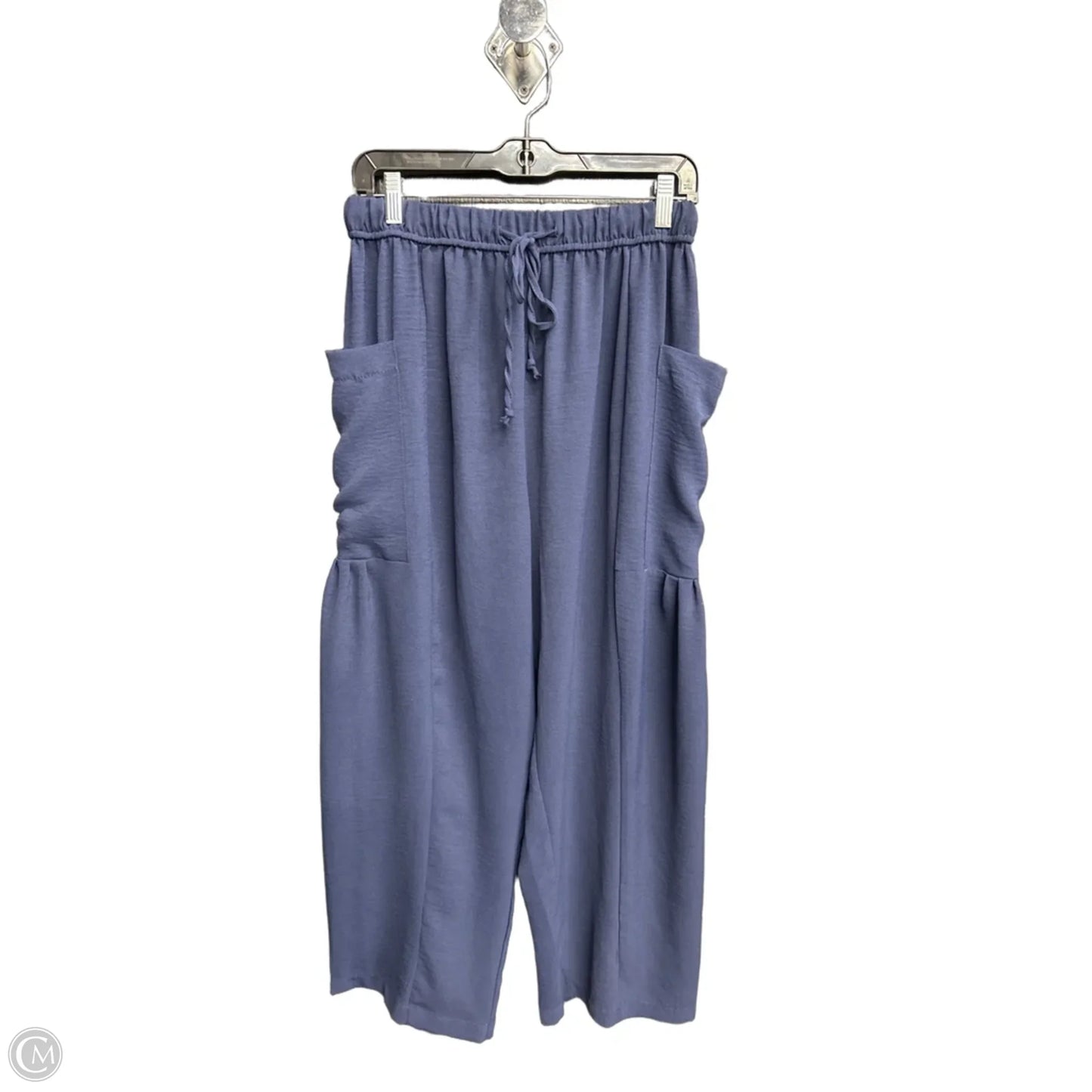Pants Linen By Clothes Mentor In Navy, Size: 12
