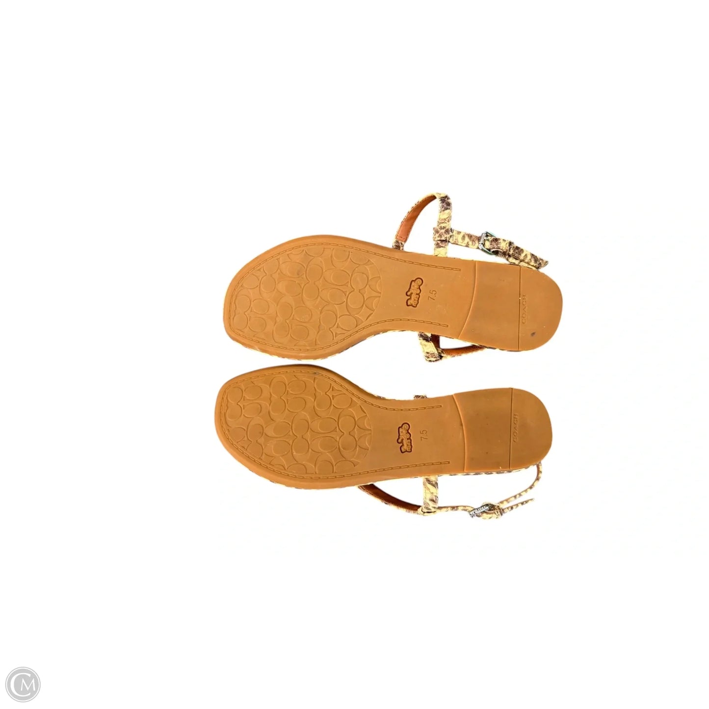 Sandals Designer By Coach In Snakeskin Print, Size: 7.5
