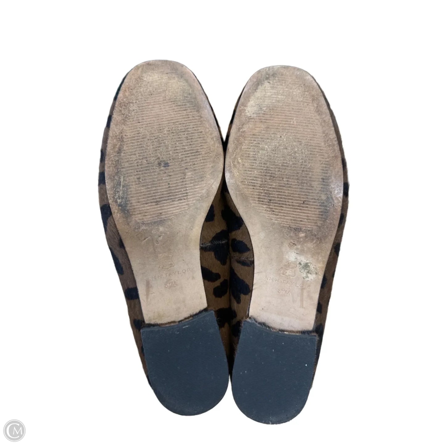 Shoes Flats By Ann Taylor In Animal Print, Size: 8.5