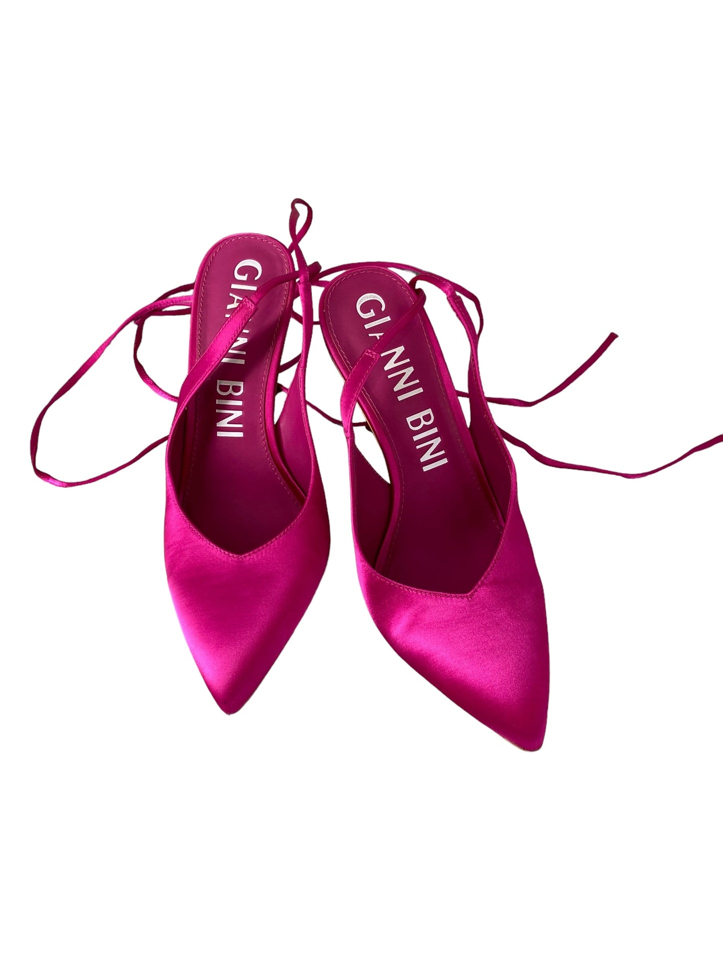 Pink Shoes Heels Stiletto Giani Bernini, Size 10