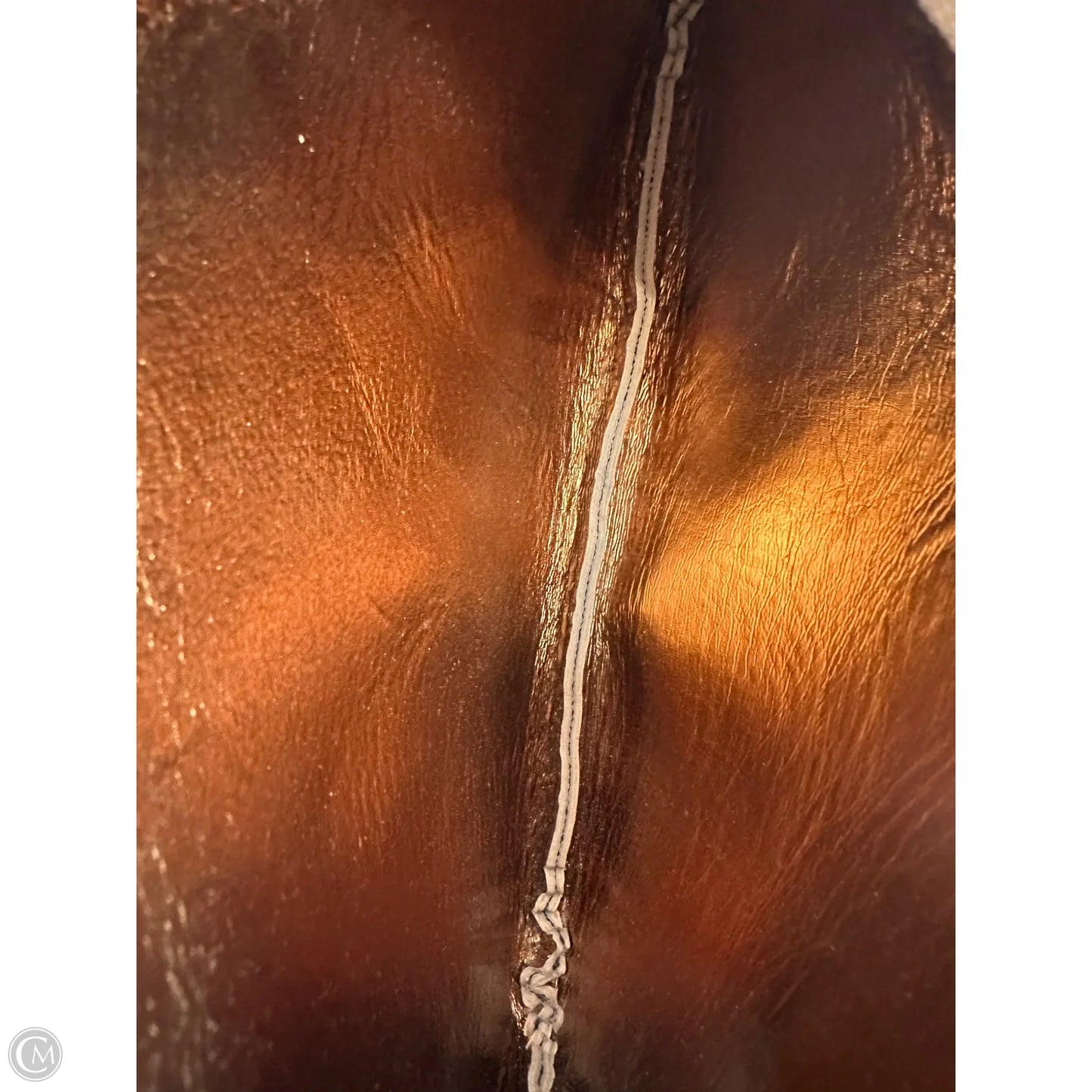 Belt Bag Designer By Michael Kors, Size: Small