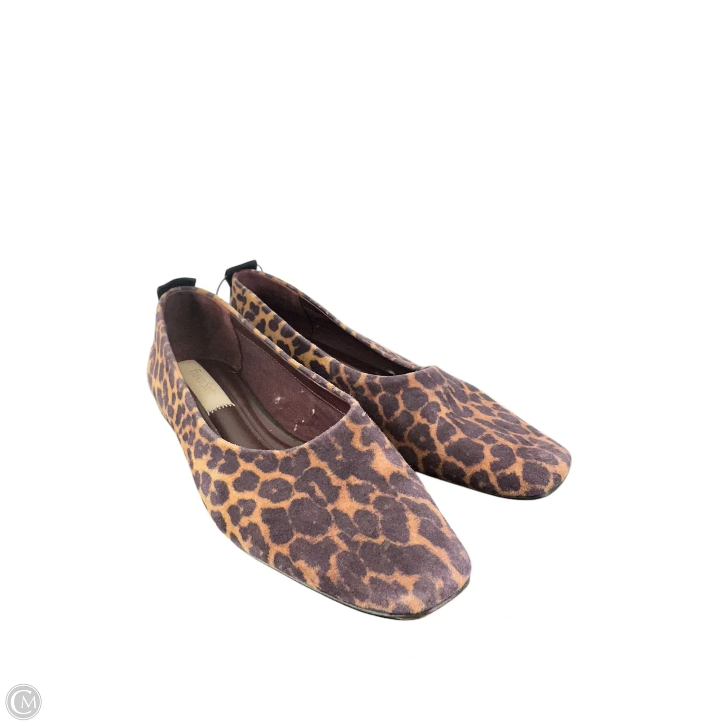 Shoes Flats By Franco Sarto In Animal Print, Size: 8.5