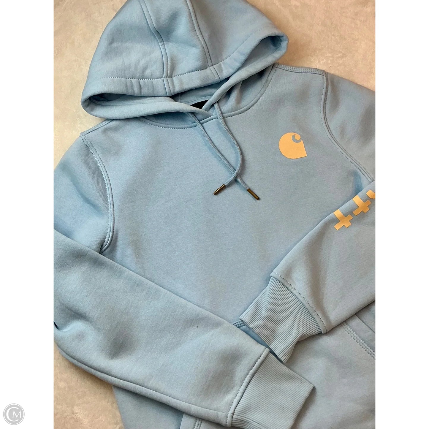 Sweatshirt Hoodie By Carhartt In Blue, Size: Xs