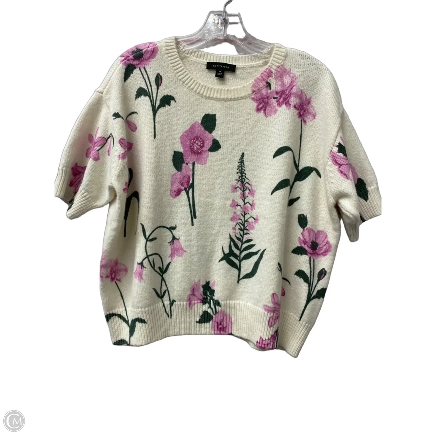 Sweater Short Sleeve By Ann Taylor In Ivory, Size: Lp