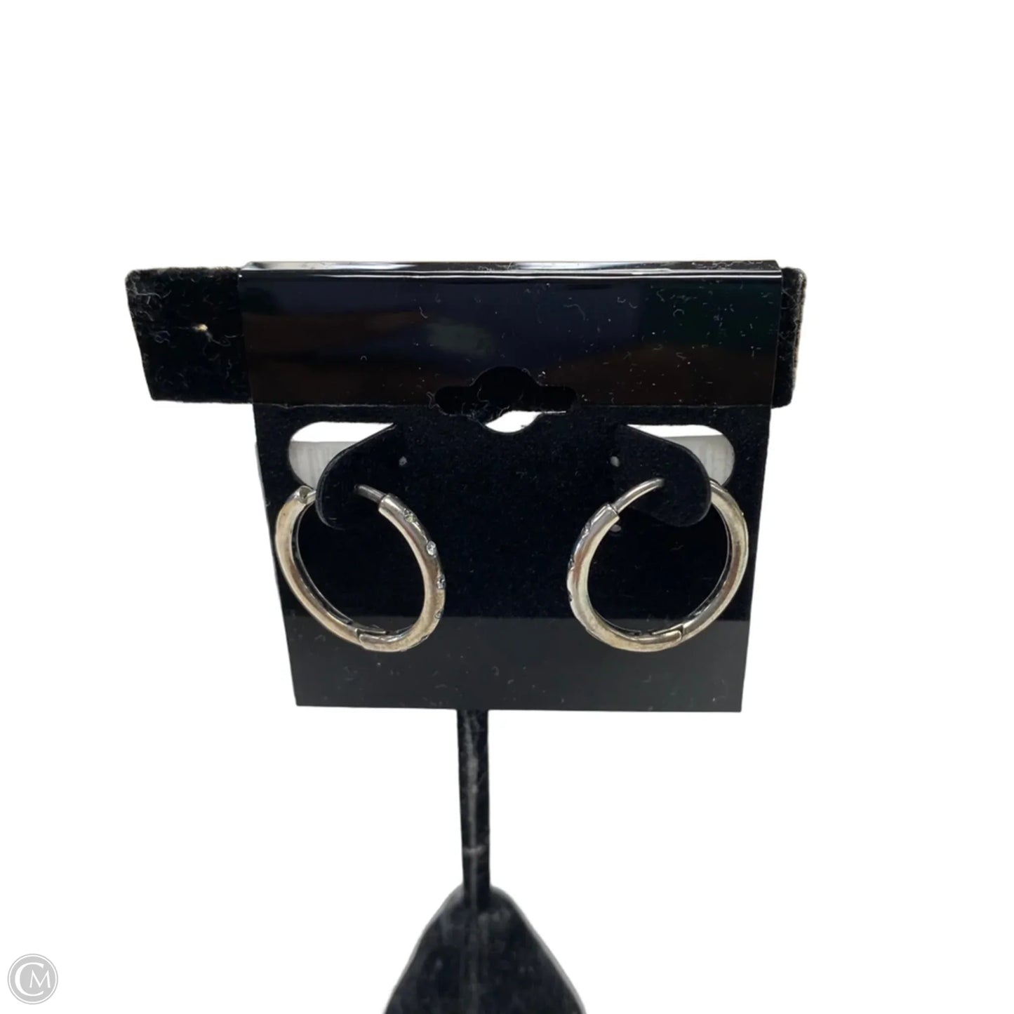 Earrings Hoop By Pandora