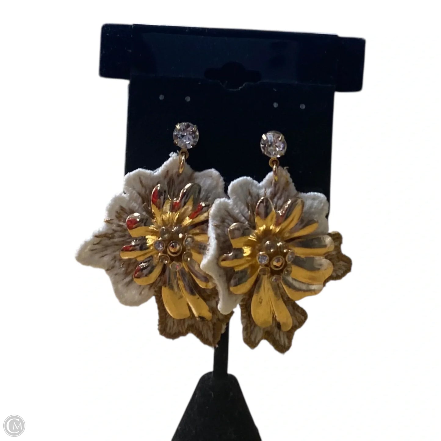 Earrings Dangle/drop