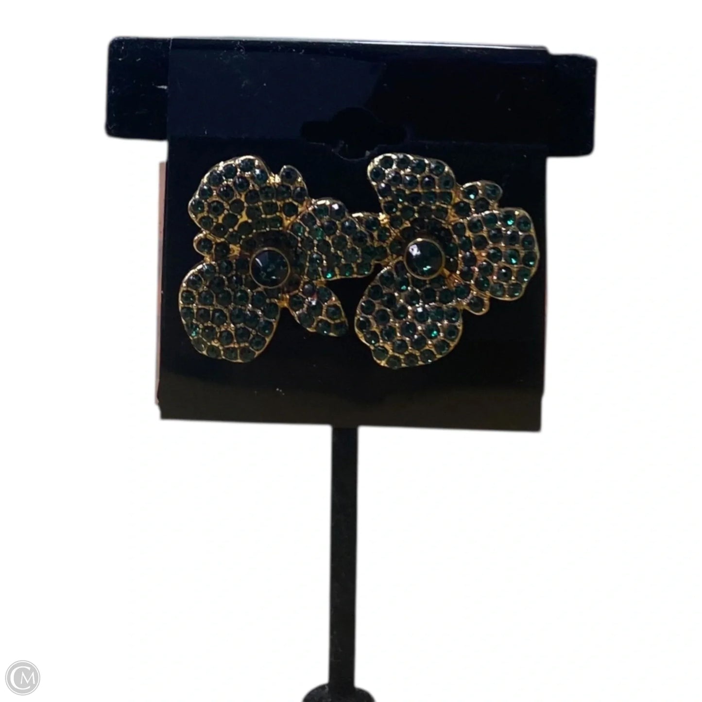 Earrings Other