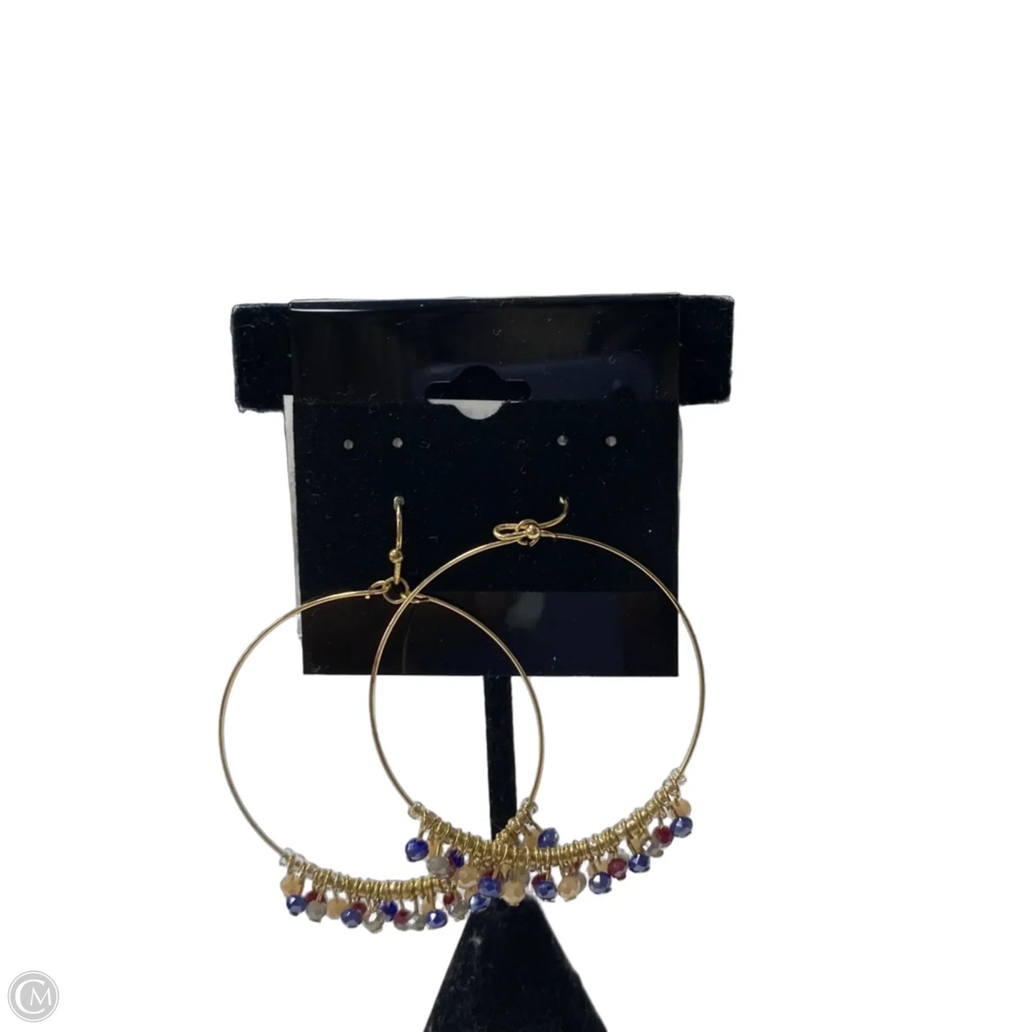 Earrings Hoop