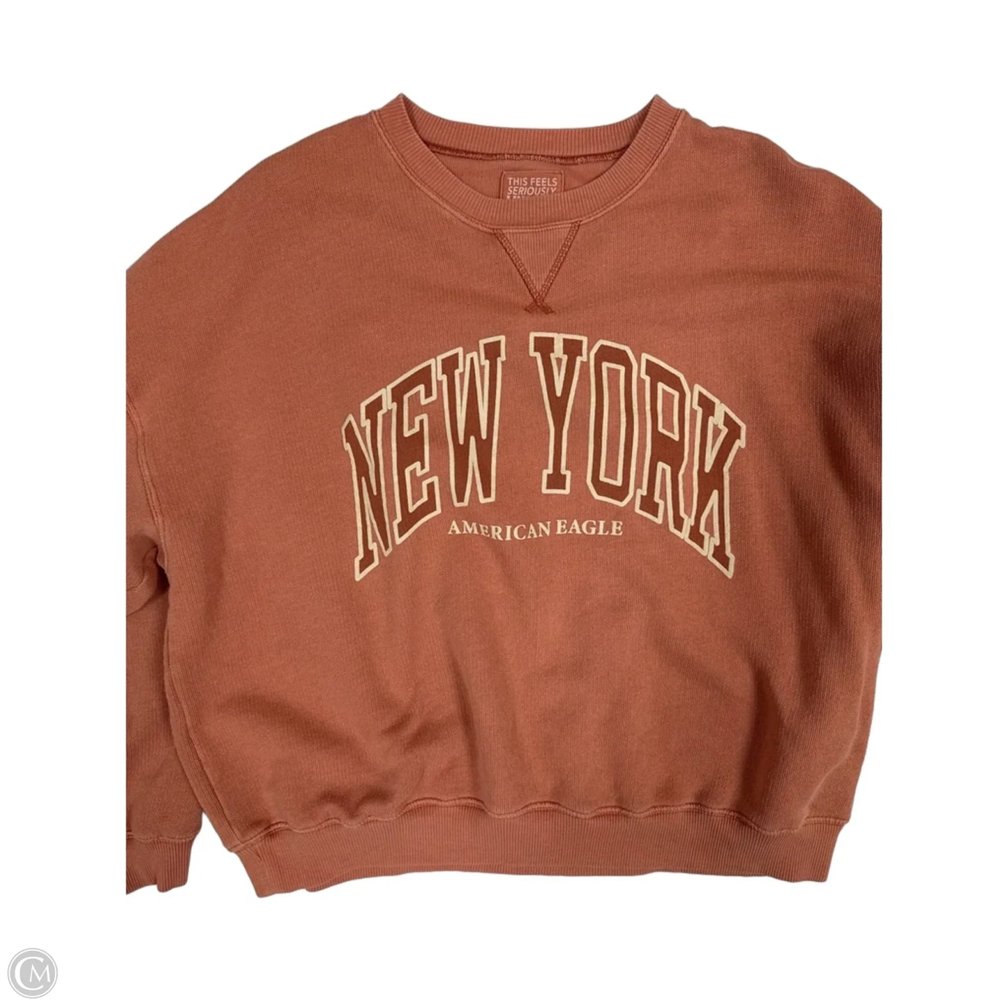 Sweatshirt Crewneck By American Eagle In Pink, Size: Xl