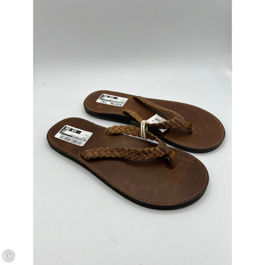 Sandals Flip Flops By American Eagle In Brown, Size: 9