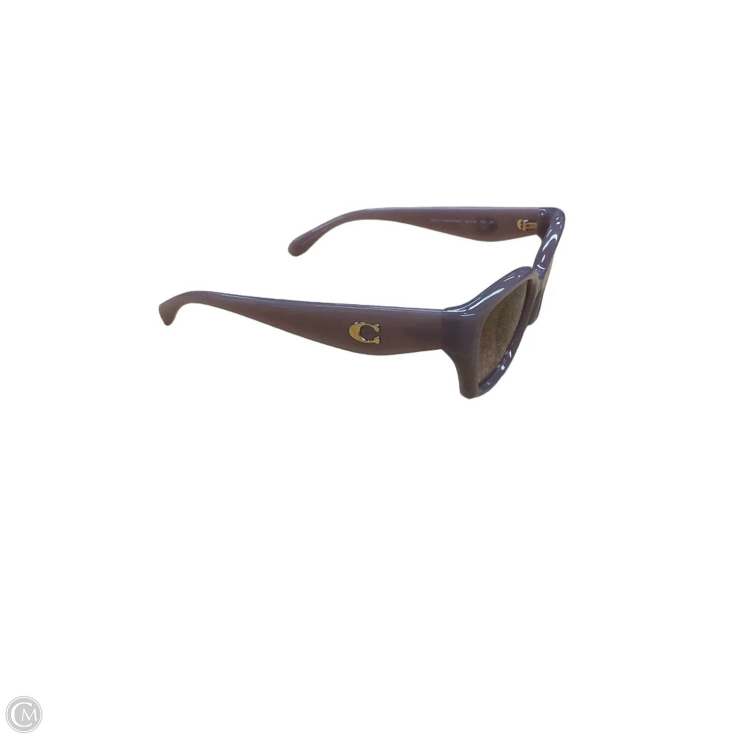 Sunglass Case Designer By Coach
