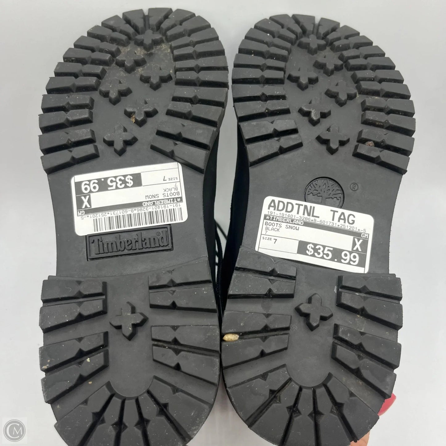 Boots Snow By Timberland In Black, Size: 7