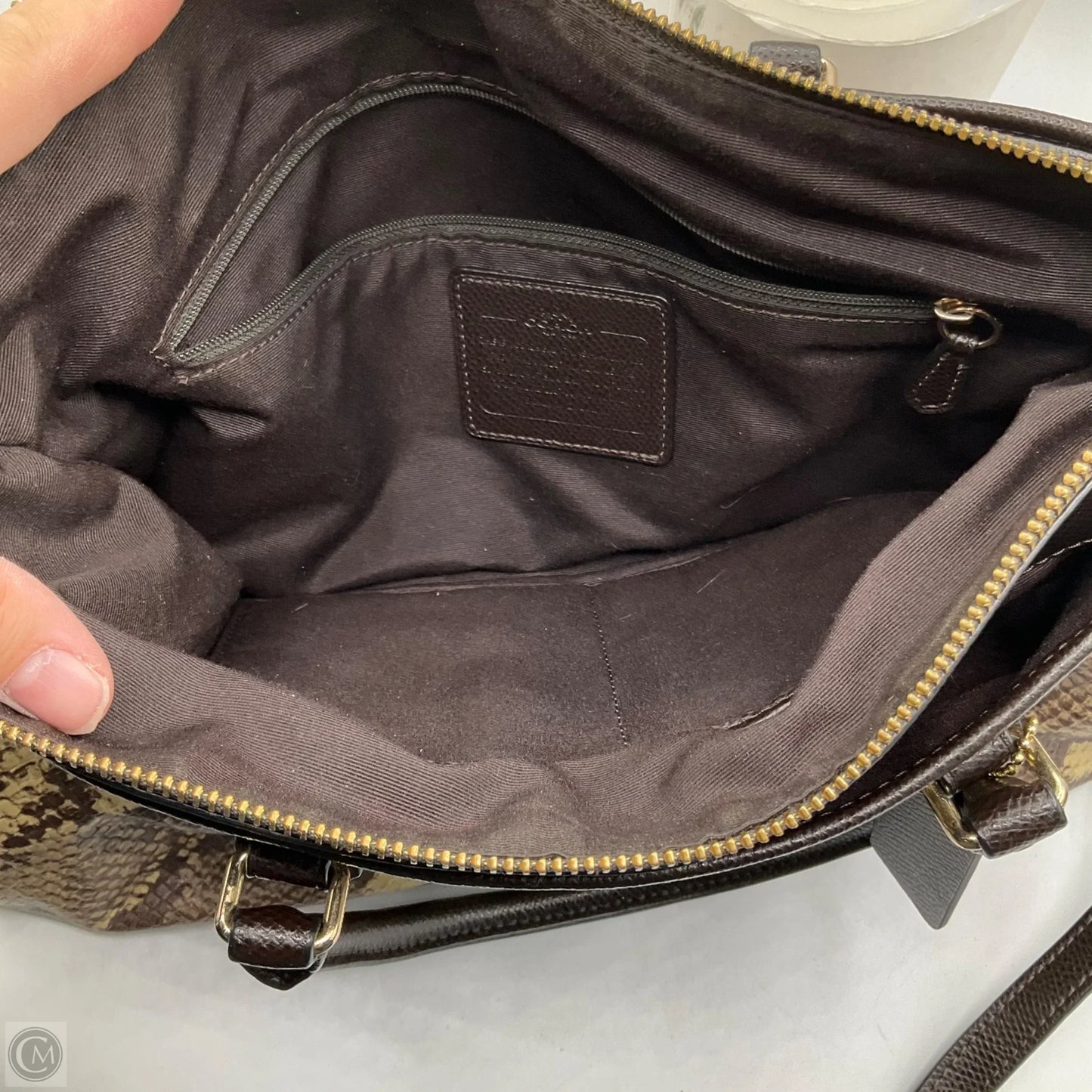 Handbag Designer By Coach, Size: Medium