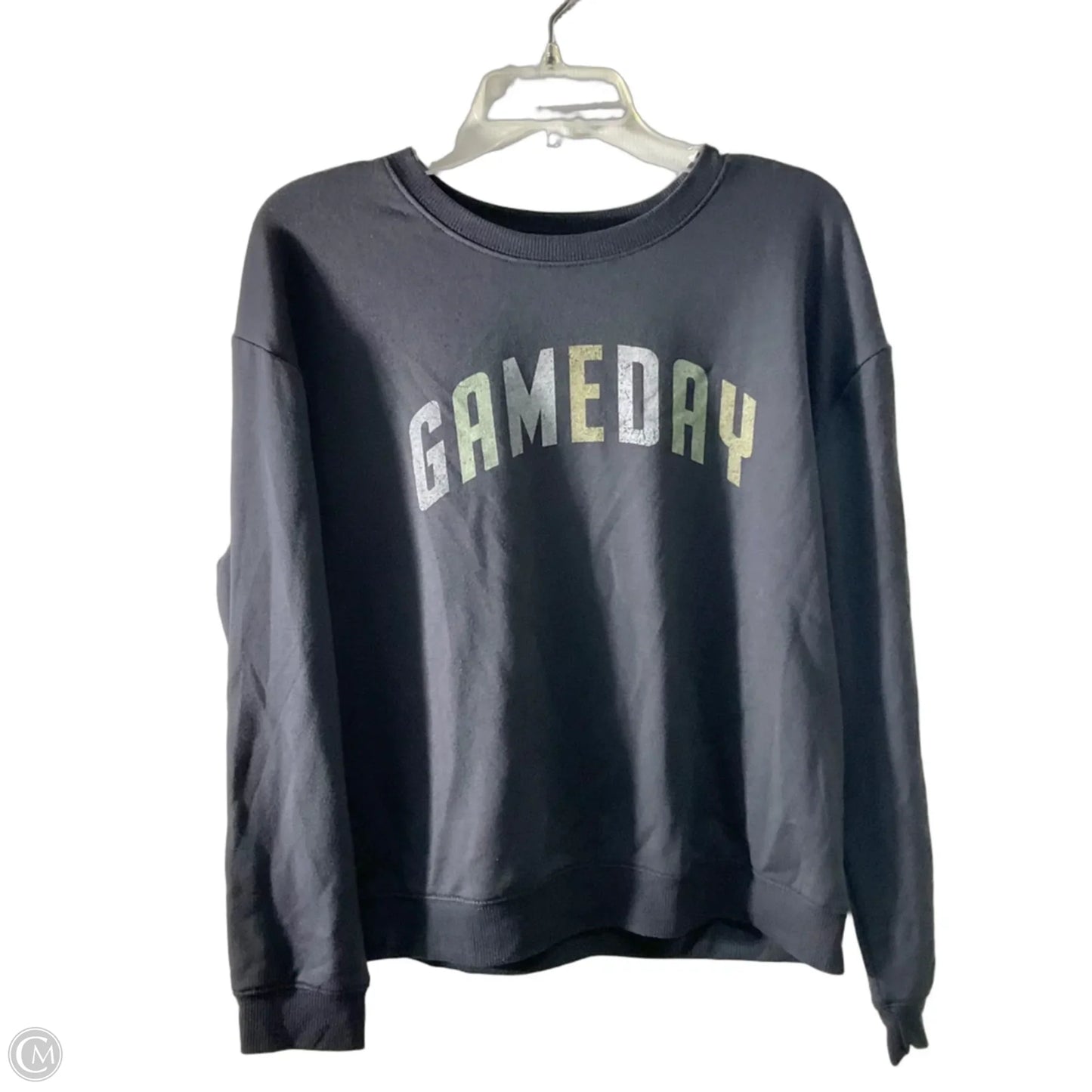 Top Long Sleeve By Clothes Mentor In Grey, Size: L