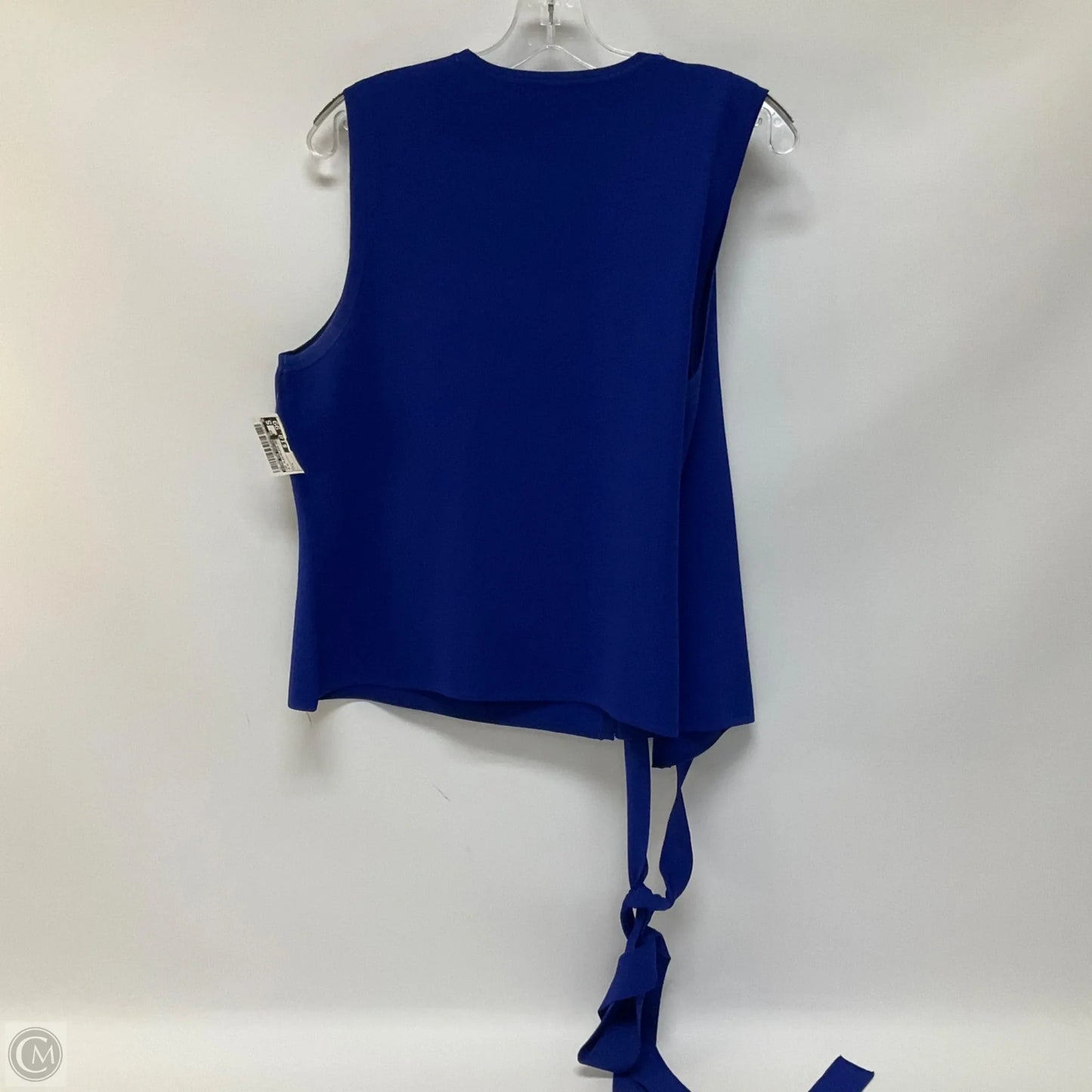 Top Sleeveless Designer By Diane Von Furstenberg In Blue, Size: L