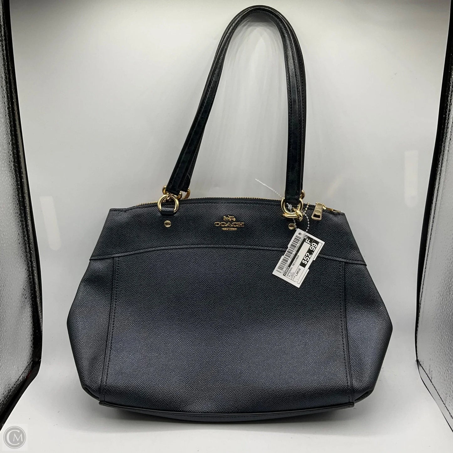 Handbag Designer By Coach, Size: Large