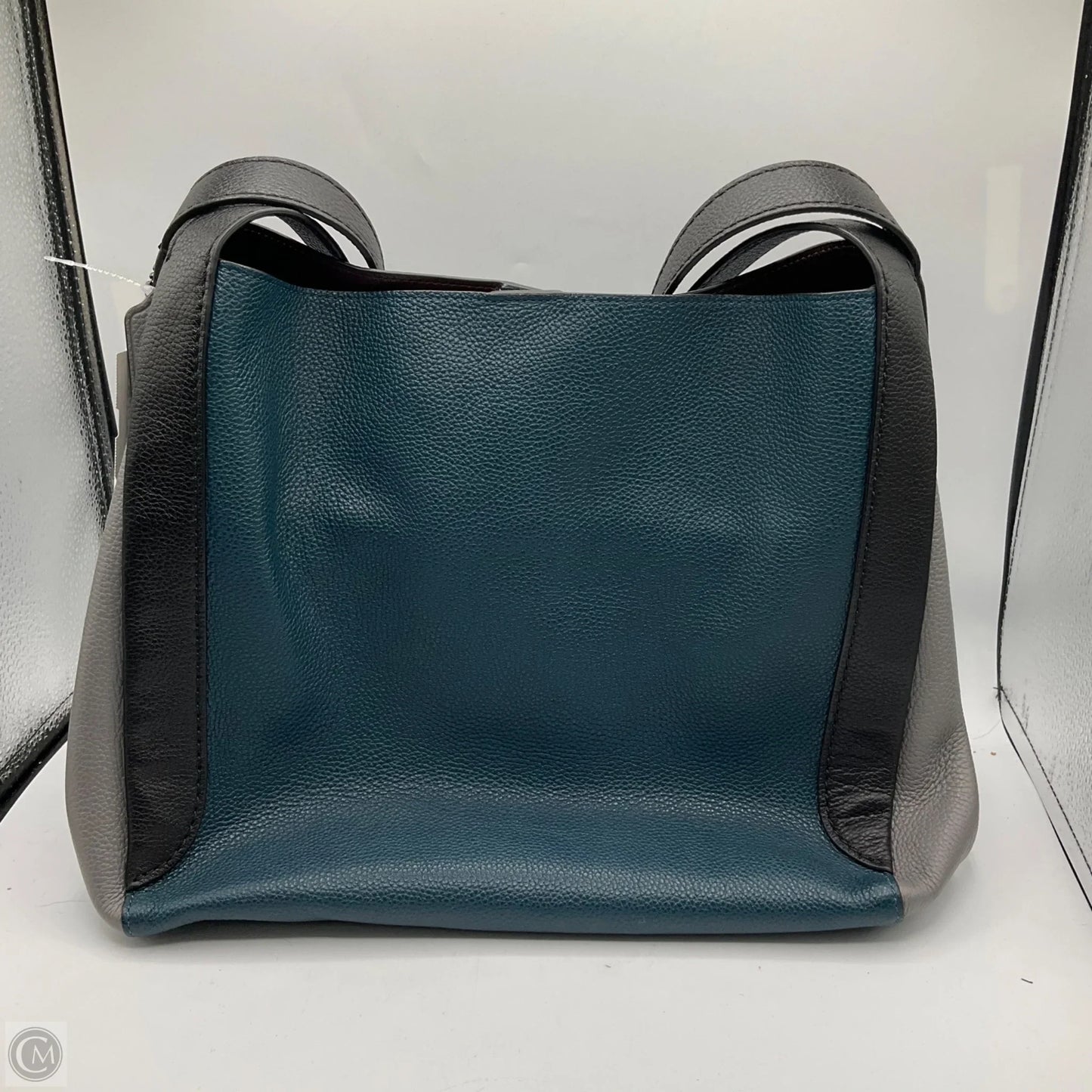 Handbag Designer By Coach, Size: Large