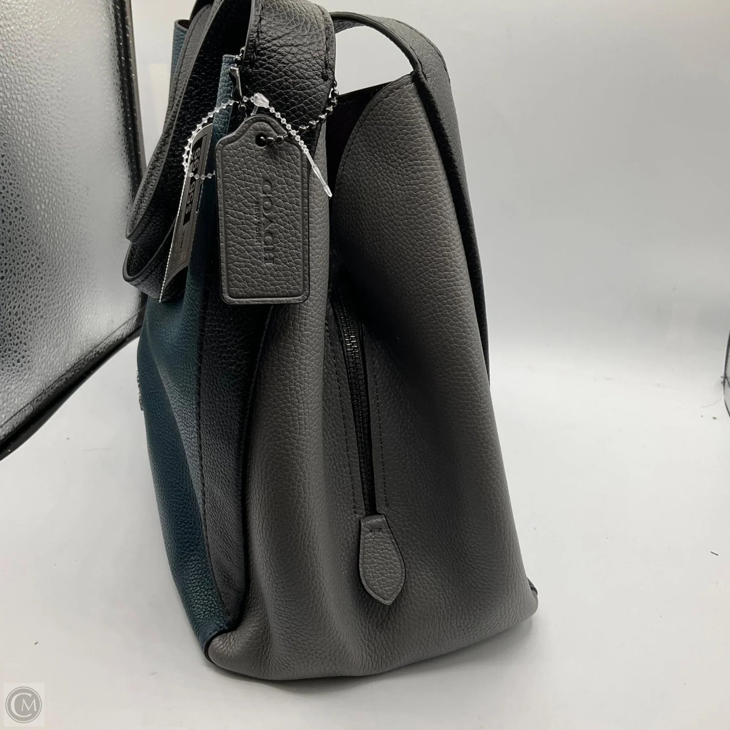 Handbag Designer By Coach, Size: Large